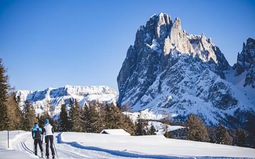 Cross-country skiing in South Tyrol