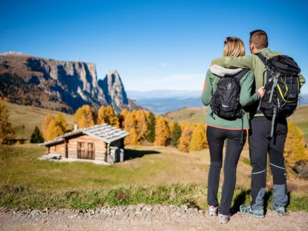 Autunno sull'Alpe di Siusi