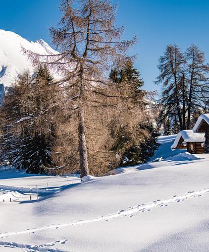 Scoprire l'Alpe di Siusi in inverno