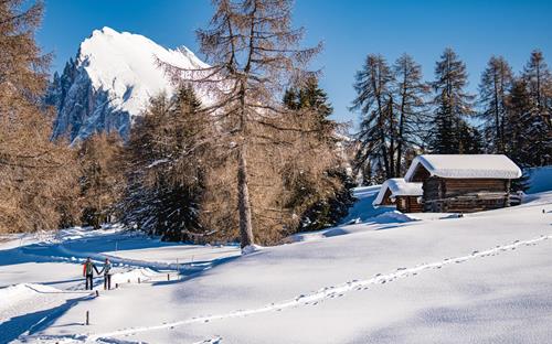 Scoprire l'Alpe di Siusi in inverno