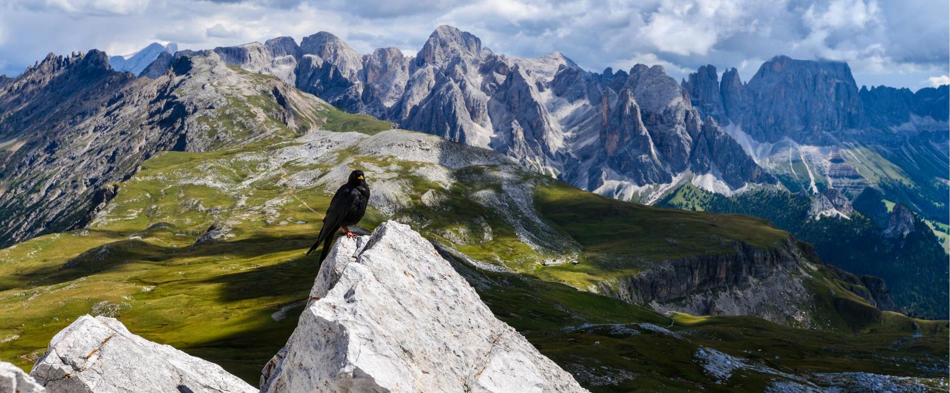 Die Dolomiten