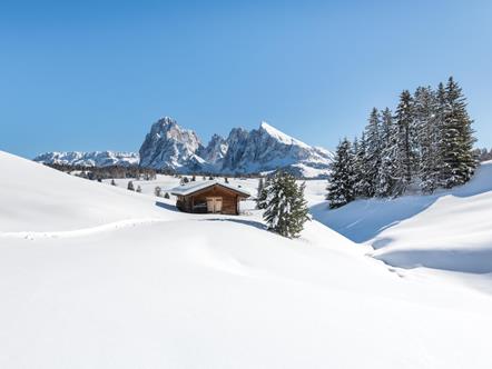 Vacanze invernali sull'Alpe di Siusi