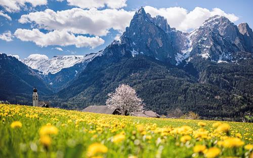 Frühling