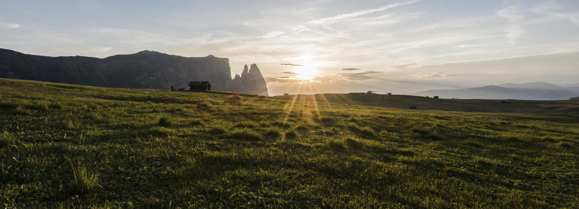 Die Seiser Alm im Sommer