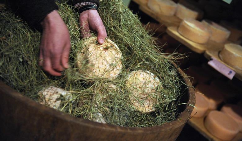 Dal fieno al formaggio