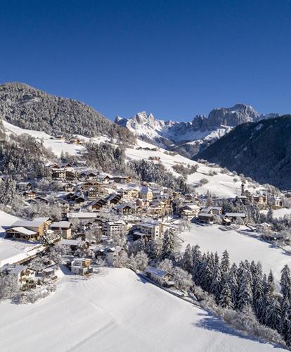 Tiers am Rosengarten im Winter