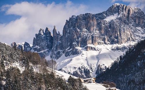 Der Rosengarten im Winter