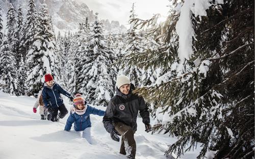 Nel bosco in inverno