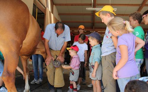 In the stables