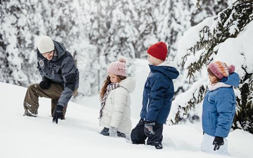 Scoprire la natura in inverno