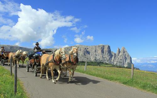 Two horse-drawn carriages