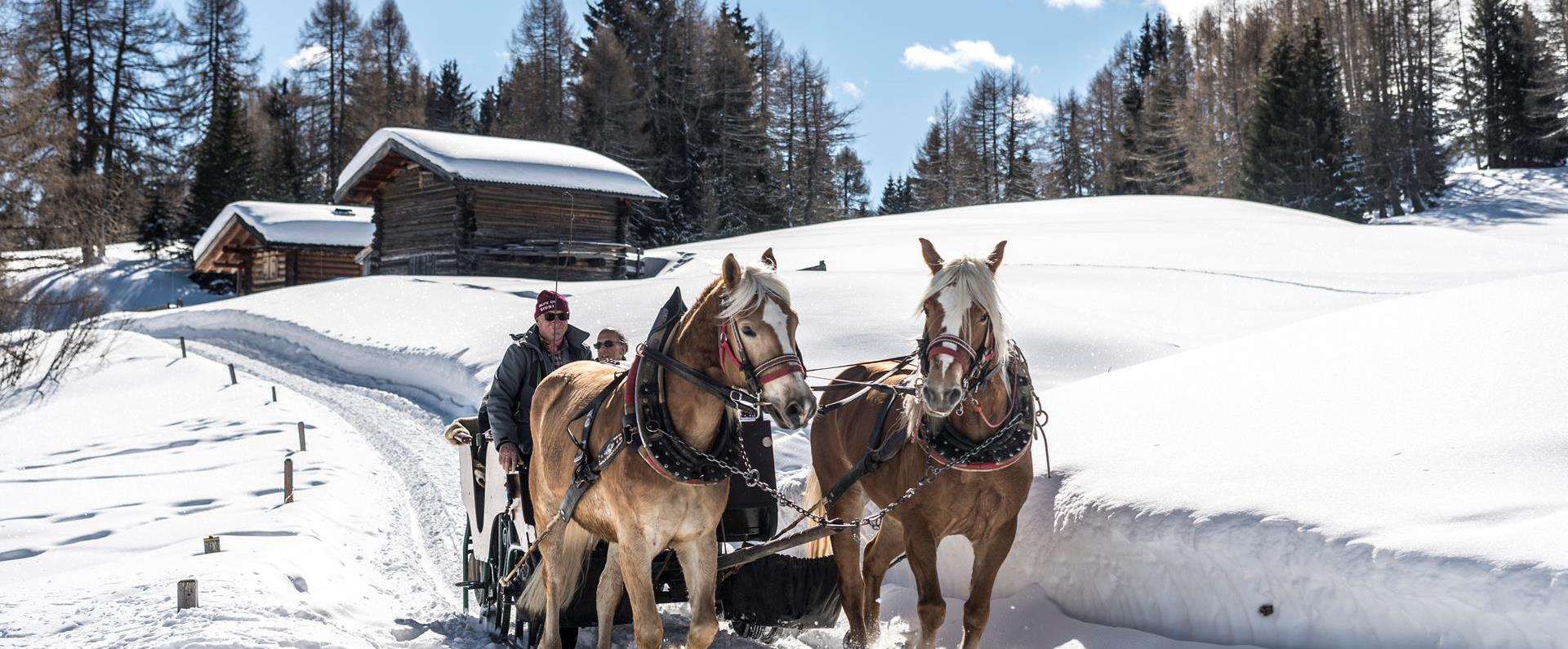 Riding a horse-drawn sledge in winter