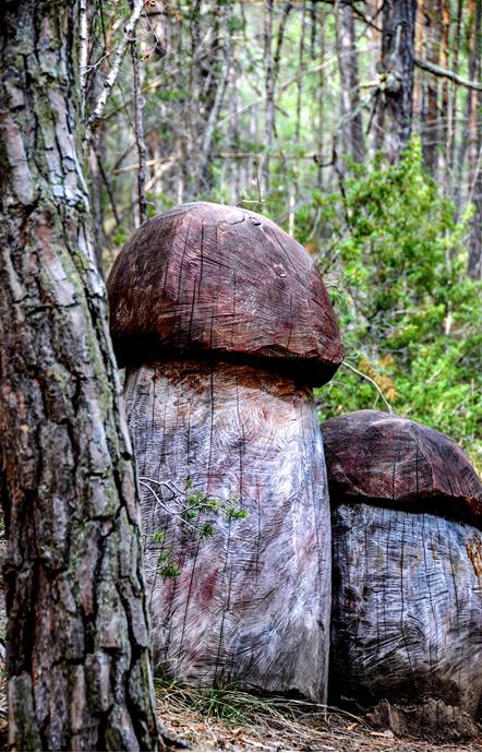 The mushroom path