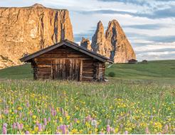 Alpe di Siusi