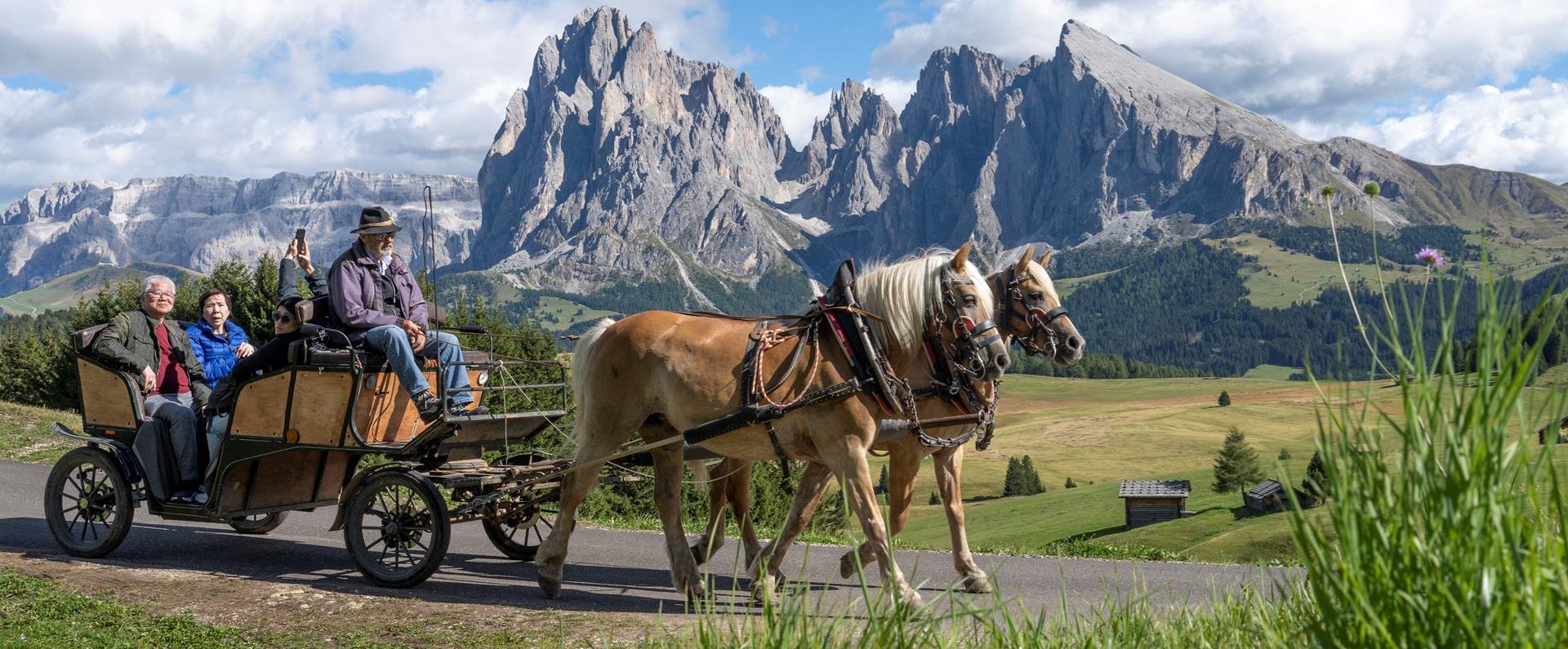 Ride in horse-drawn carriages and sleighs across the Alpine pasture