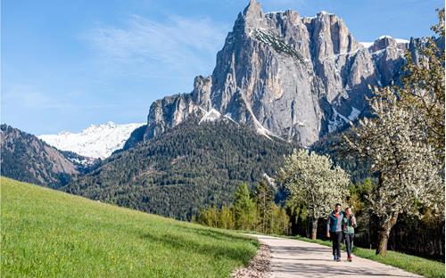 Frühling auf der Seiser Alm