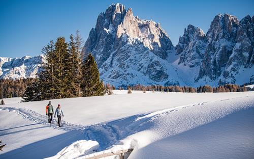 Escursione invernale sull'Alpe di Siusi