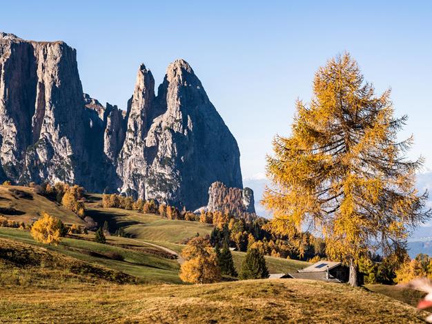 Alpe di Siusi