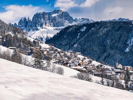 Tiers am Rosengarten im Winter