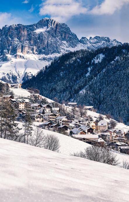 Tiers am Rosengarten im Winter