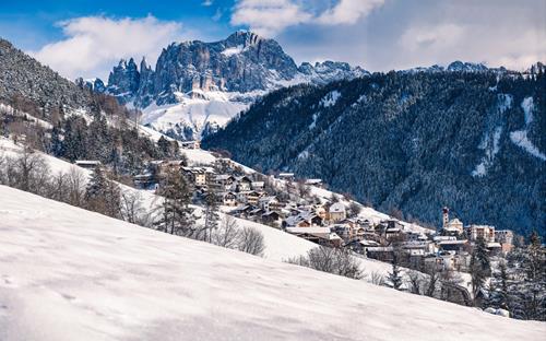 Tiers am Rosengarten im Winter