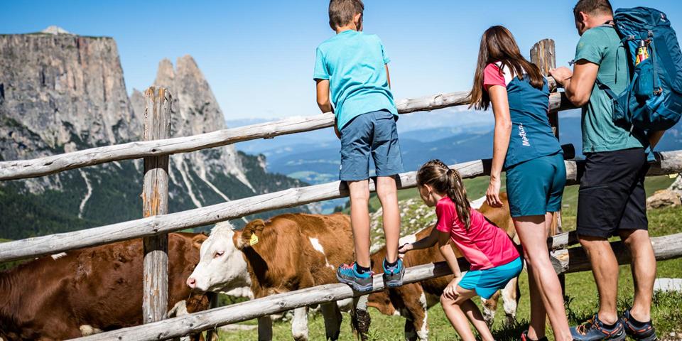 A family meets cows