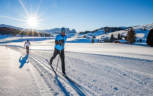 Fantastic cross-country ski trails