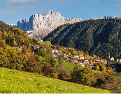 Tiers am Rosengarten