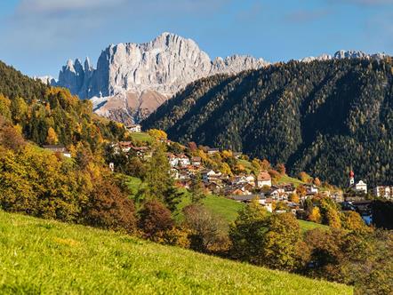 Tiers am Rosengarten im Herbst