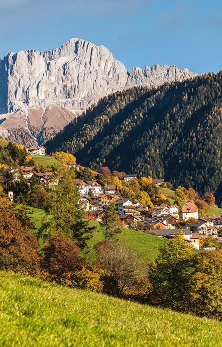 Tiers am Rosengarten im Herbst