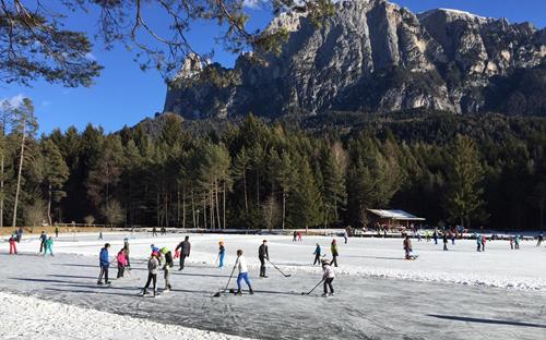 Eishockey