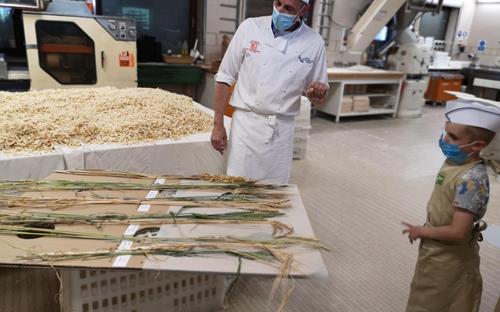 From flour to bread