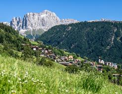 Tiers am Rosengarten