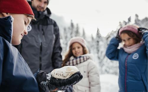 Dolomiti Ranger inverno