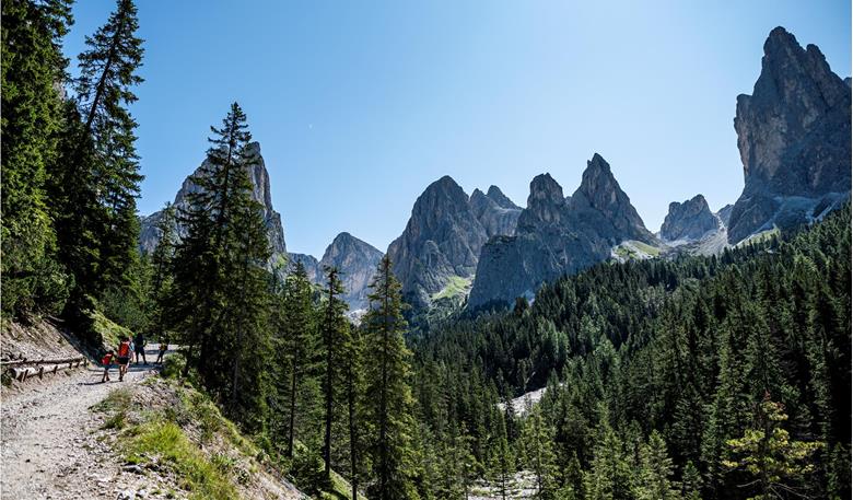 Pure natural idyll: The Tschamin valley