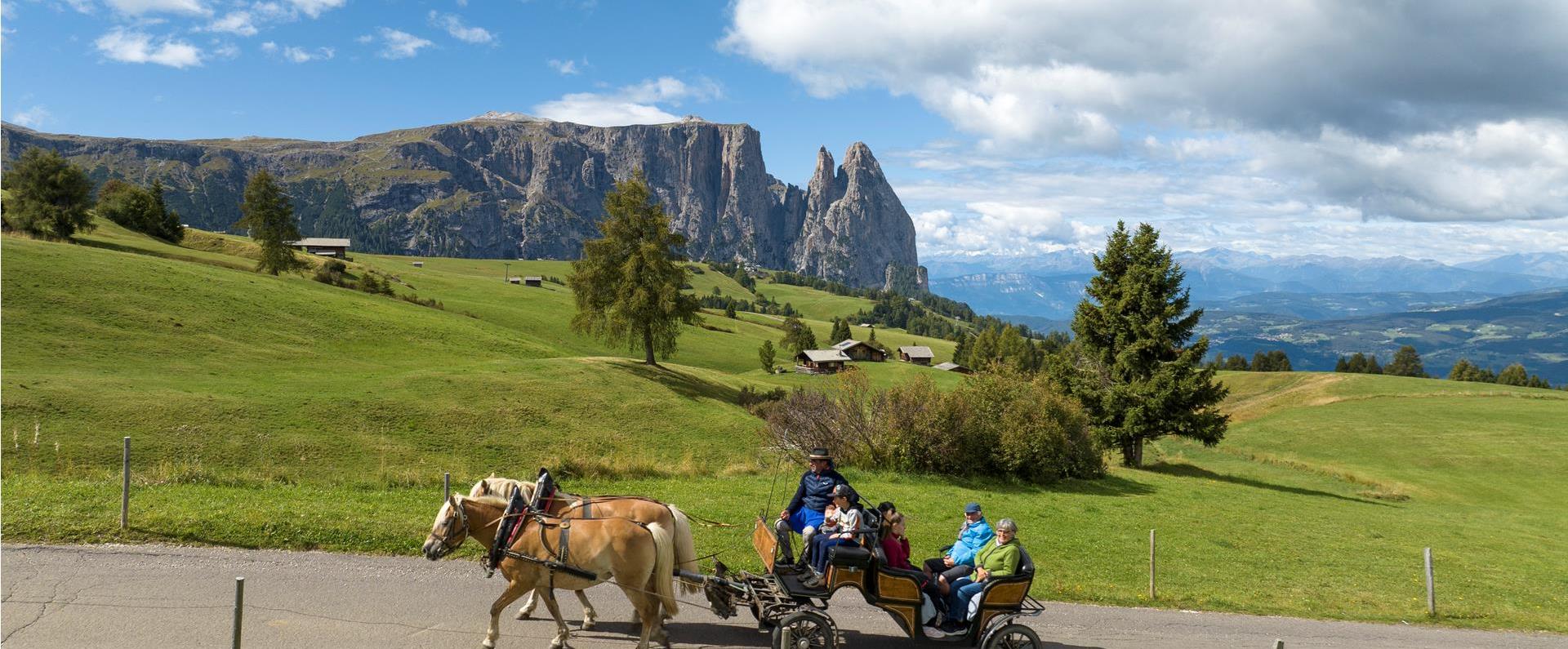 Riding a horse-drawn carriage