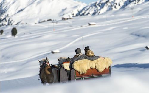 Tour in a horse-drawn sleigh