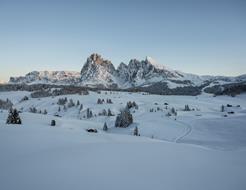 Alpe di Siusi