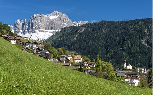 Tiers am Rosengarten im Frühling