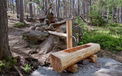 A fountain with drinking water in the forest