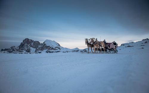 Horse-drawn sledge