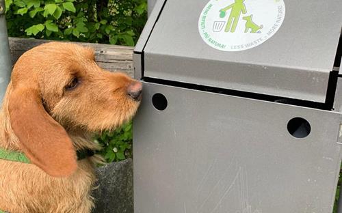 Abbiamo pensato anche ai cani