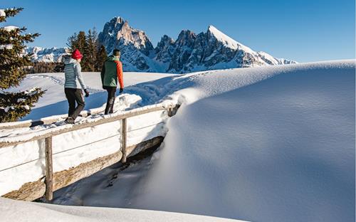 Escursione invernale sull'Alpe di Siusi