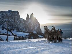 Horse carriage ride Martin Gasslitter