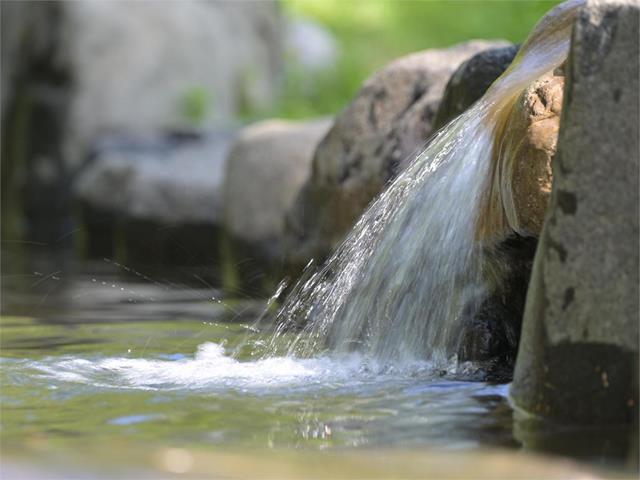 Acqua della fonte ferruginosa