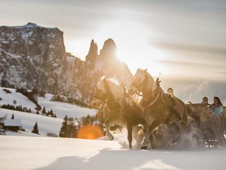 A ride on a horse-.drawn sledge on the Seiser Alm