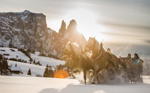 A ride on a horse-.drawn sledge on the Seiser Alm