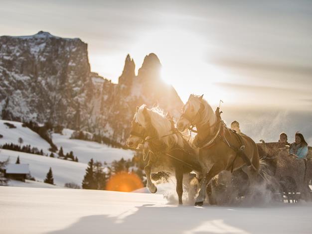 A ride on a horse-.drawn sledge on the Seiser Alm