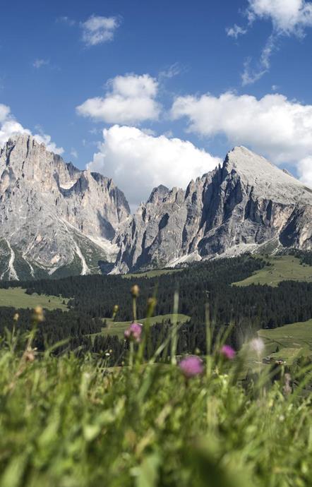 Schlern-Rosengarten Nature Park in the UNESCO World Heritage in the Dolomites
