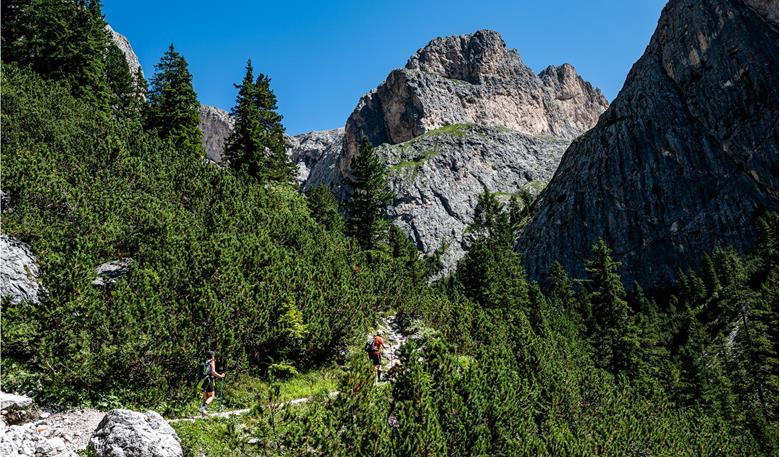 Idillio naturale puro: la Val Ciamin